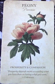 Botanical Inspirations Deck & Book Set